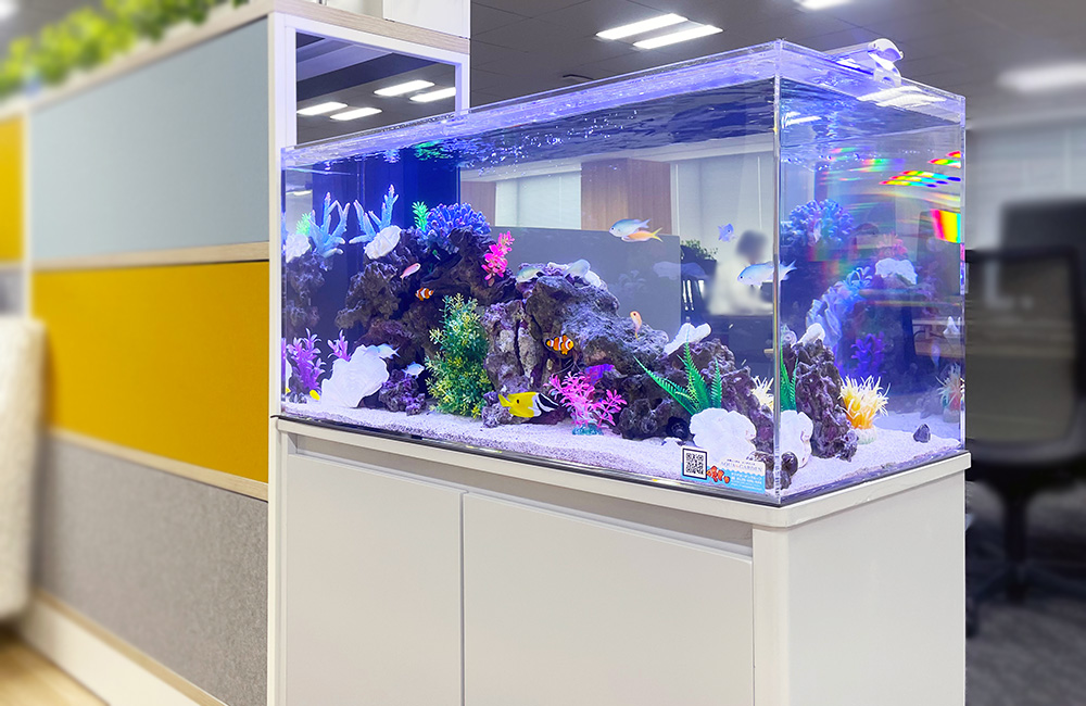 アクアリウム用水槽ほぼ一式売ります！