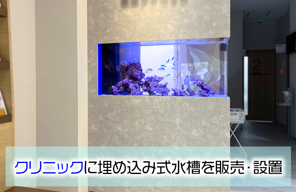 耳鼻科クリニック様に120cm埋め込み水槽を販売！定期メンテナンスで管理します