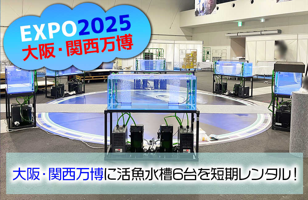 大阪・関西万博にいけす活魚水槽6台を短期レンタル・メンテナンス管理！ メイン画像
