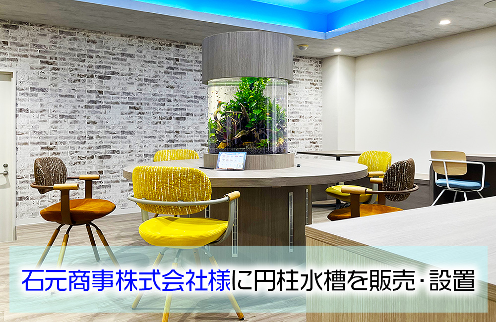 石元商事株式会社様のオフィスに円柱水槽を販売・メンテナンス！のサムネイル画像