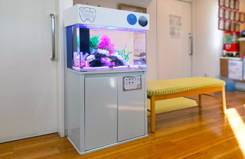 歯科医院様の60cm海水魚水槽！水槽レンタル9年目の様子 水槽画像２