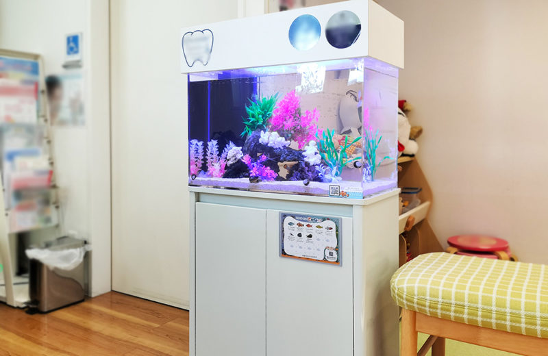 歯科医院様の60cm海水魚水槽！水槽レンタル9年目の様子 水槽画像５