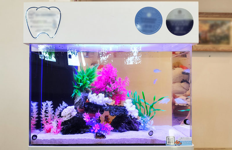 歯科医院様の60cm海水魚水槽！水槽レンタル9年目の様子 水槽画像３