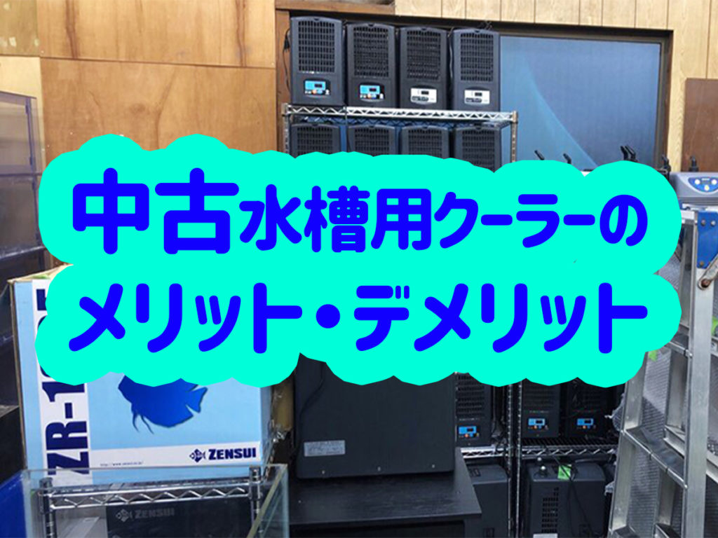中古水槽用クーラーのメリット、デメリット! 選び方や買い方をご紹介のサムネイル画像