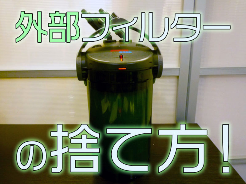 外部フィルターの捨て方!不燃ごみなど分別から捨てない処分方法まで紹介サムネイル