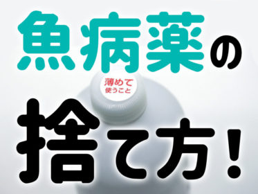 魚病薬の捨て方！メチレンブルーやグリーンFなどを安全に処分する方法