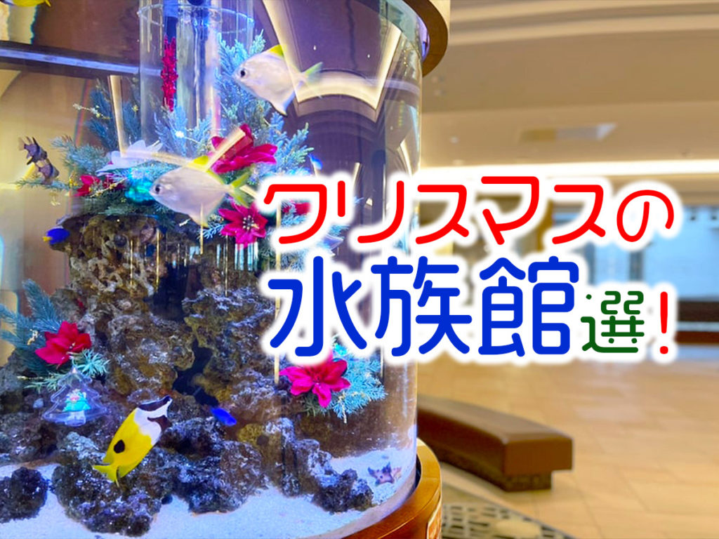 クリスマスの水族館10選！デート・子連れ・旅先・おひとり様で楽しめるイベントのサムネイル画像