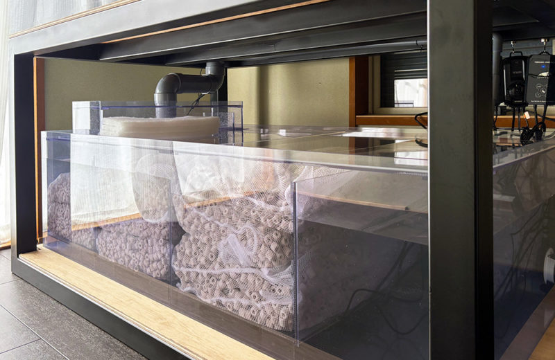 個人宅様に150cmのアロワナ水槽を販売・設置！熱帯魚が入りました！ 水槽画像５