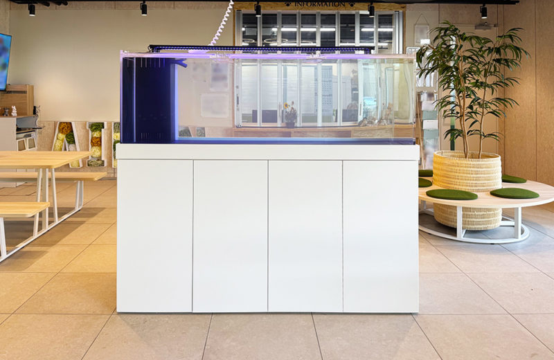 専門学校様にオーダーメイド水槽を納品・設置！180cmの大型水槽一式を販売 水槽画像２