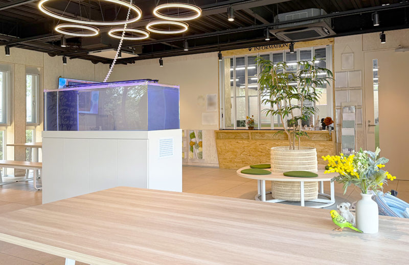 専門学校様にオーダーメイド水槽を納品・設置！180cmの大型水槽一式を販売 水槽画像３