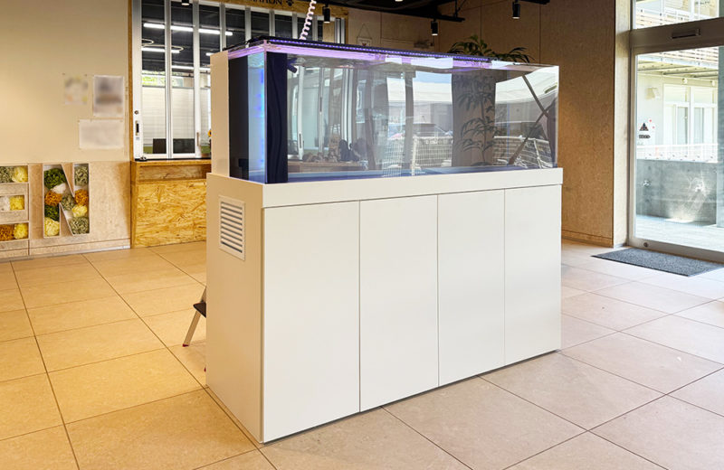 専門学校様にオーダーメイド水槽を納品・設置！180cmの大型水槽一式を販売 水槽画像５