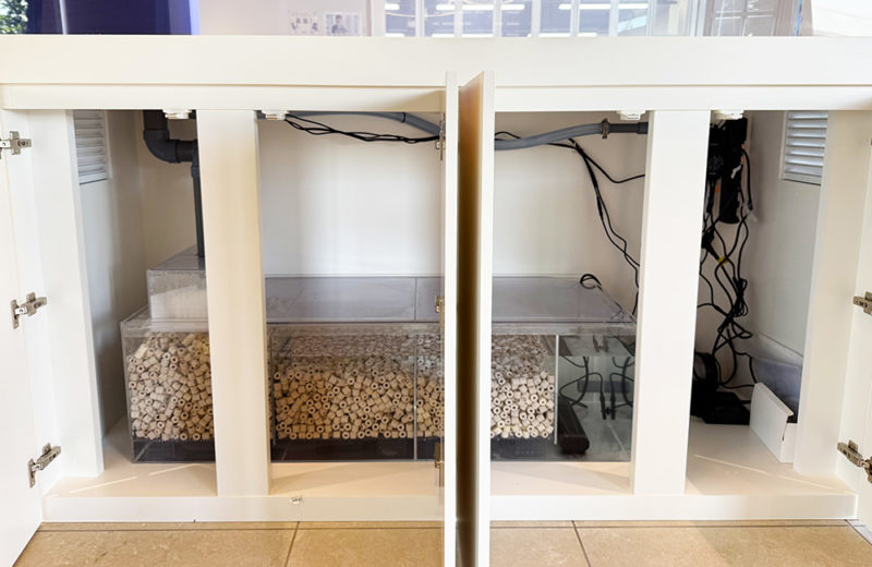 専門学校様にオーダーメイド水槽を納品・設置！180cmの大型水槽一式を販売 水槽画像４