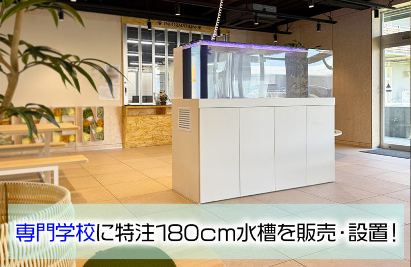 専門学校様にオーダーメイド水槽を納品・設置！180cmの大型水槽一式を販売 水槽画像１
