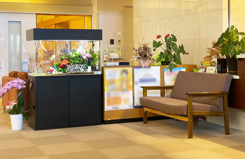 福祉施設様のクリスマス水槽！90cm淡水魚水槽に季節のレイアウト！ 水槽画像３