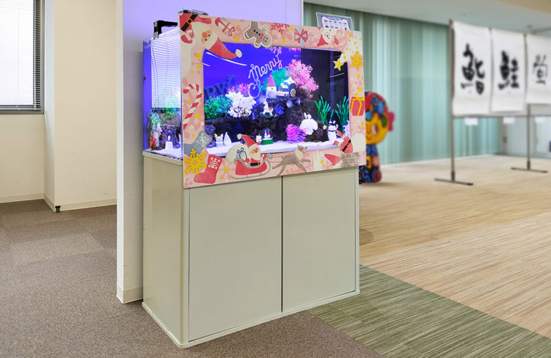 施設様のクリスマス水槽1台目！今年はナンヨウハギも加わっています！ 水槽画像２