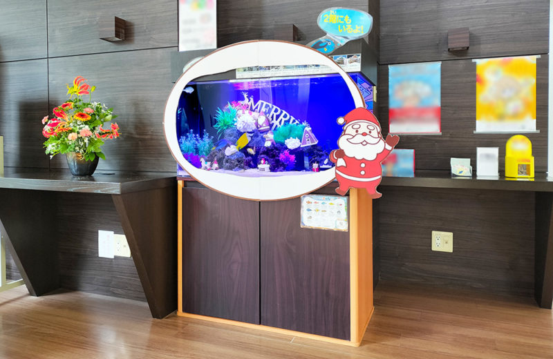 施設様のクリスマス水槽2台目！サンタのオブジェがかわいいアクアリウム 水槽画像２