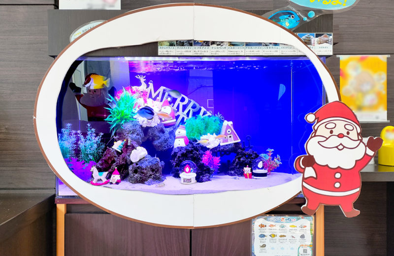 施設様のクリスマス水槽2台目！サンタのオブジェがかわいいアクアリウム 水槽画像３