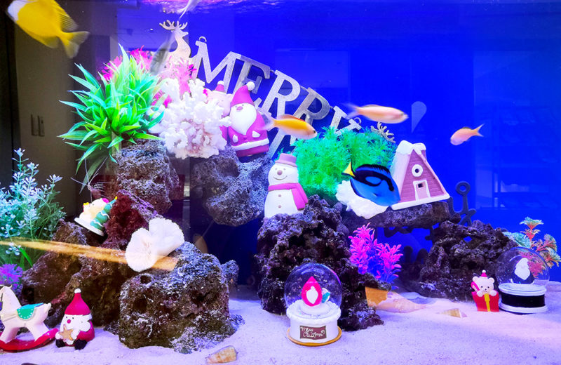 施設様のクリスマス水槽2台目！サンタのオブジェがかわいいアクアリウム 水槽画像４