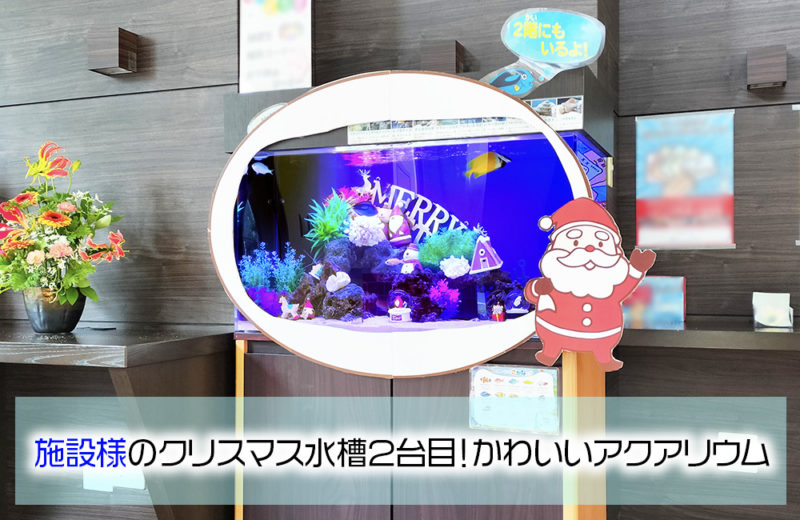 施設様のクリスマス水槽2台目！サンタのオブジェがかわいいアクアリウム 水槽画像１