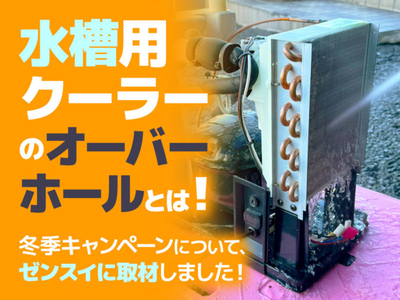 水槽用クーラーのオーバーホールとは!点検のメリットやキャンペーンを取材しましたサムネイル