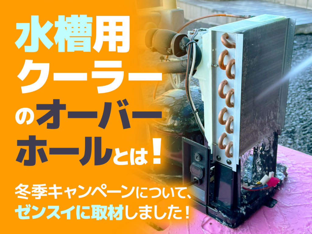 水槽用クーラーのオーバーホールとは！点検のメリットやキャンペーンを取材しましたのサムネイル画像