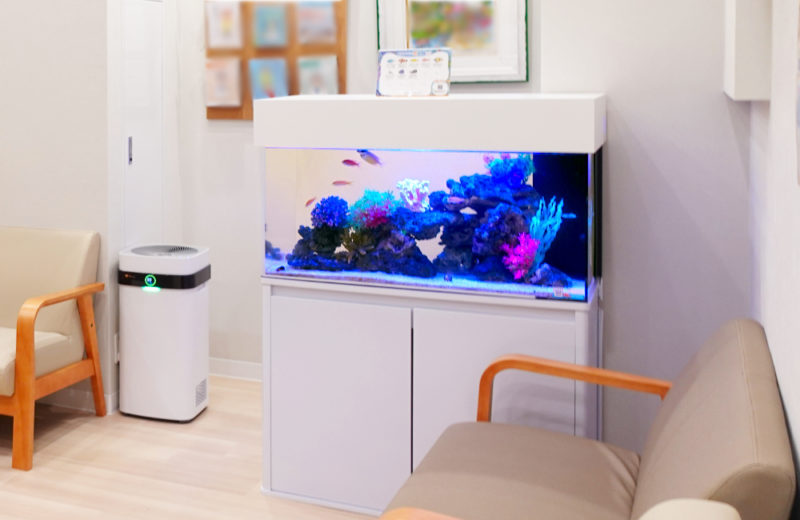 クリニックの90cm水槽！海水アクアリウムのレンタルについて 水槽画像２