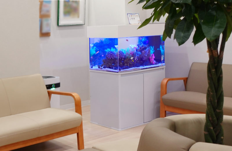 クリニックの90cm水槽！海水アクアリウムのレンタルについて 水槽画像５