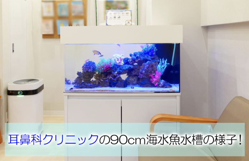 クリニックの90cm水槽！海水アクアリウムのレンタルについて 水槽画像１