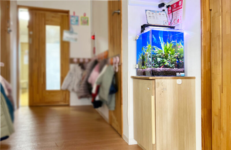 つくし保育園様の30cm小型淡水アクアリウム！水槽レンタルのその後 水槽画像５