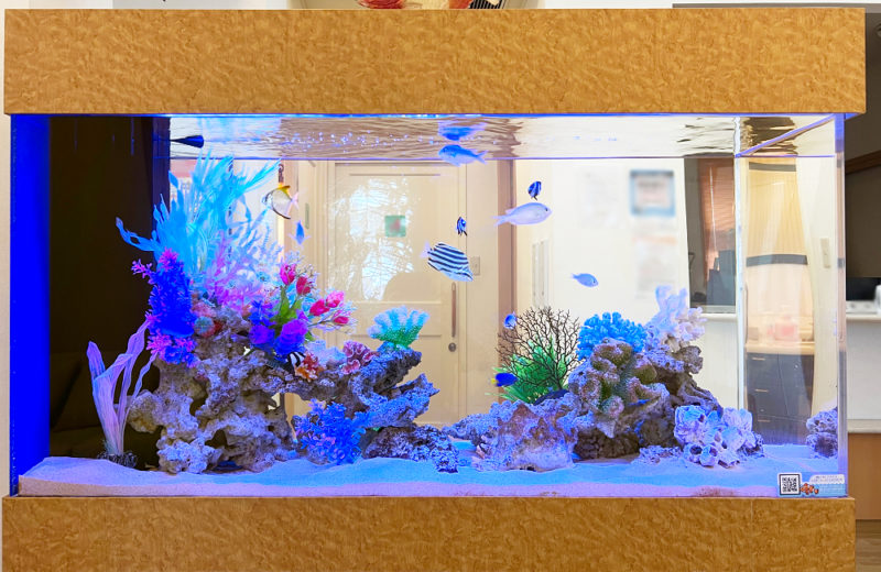オアシス脳神経クリニック様の120cm海水魚水槽！16年目の様子 水槽画像３