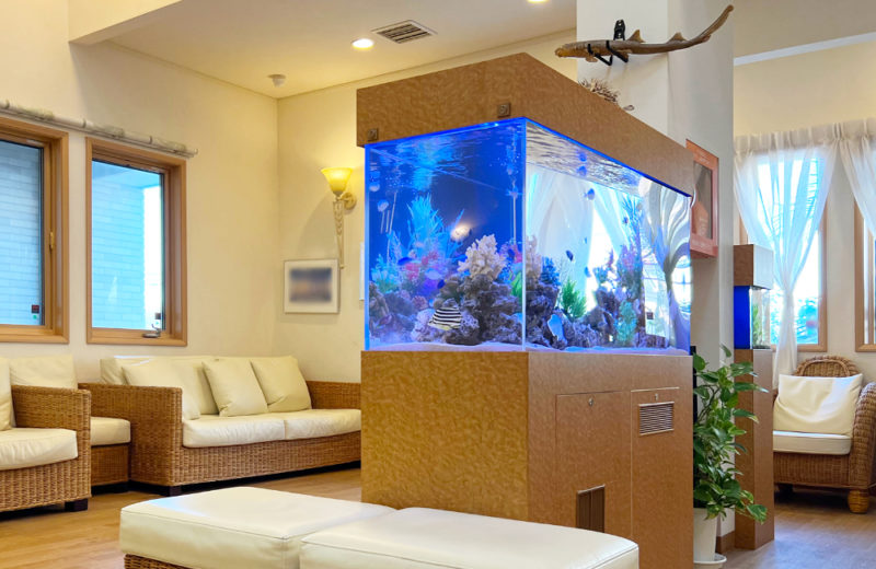 オアシス脳神経クリニック様の120cm海水魚水槽！16年目の様子 水槽画像５