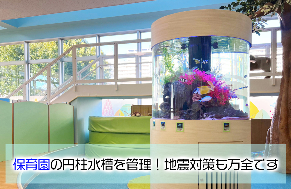 保育園様の円柱水槽!海水魚が泳ぐ耐震設計のアクアリウム・9年目の様子 メイン画像