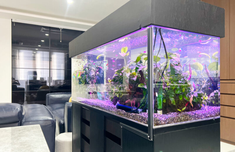 企業様の120cm淡水魚水槽！保養所にリラックスムードを演出 水槽画像４