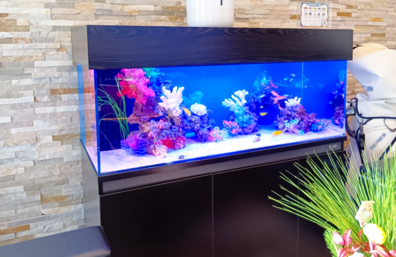 企業様のオフィスに海水魚水槽を設置！天蓋がおしゃれな120cm水槽 水槽画像５