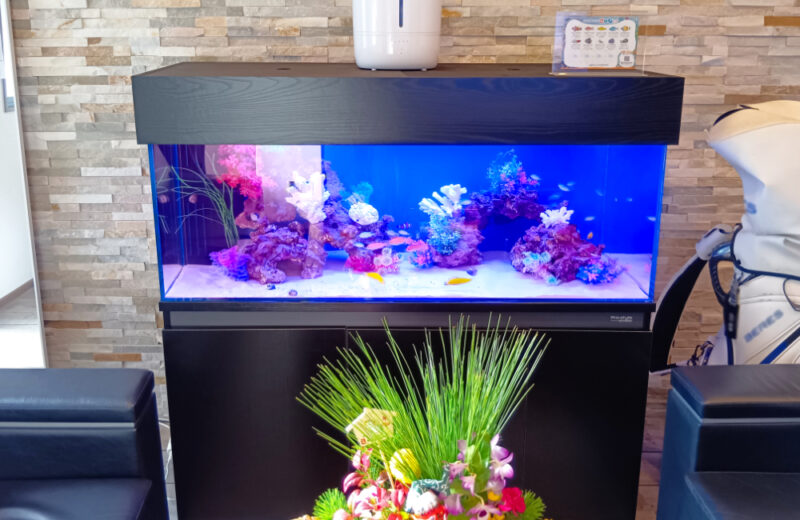 企業様のオフィスに海水魚水槽を設置！天蓋がおしゃれな120cm水槽 水槽画像２