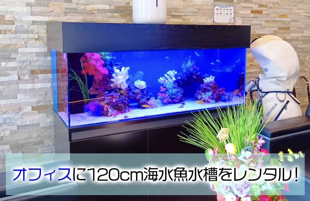 企業様のオフィスに海水魚水槽を設置！天蓋がおしゃれな120cm水槽 メイン画像