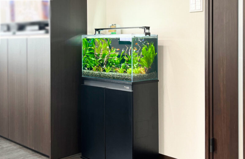 企業様の60cm淡水魚水槽！フロアに溶け込むアクアリウム 水槽画像３
