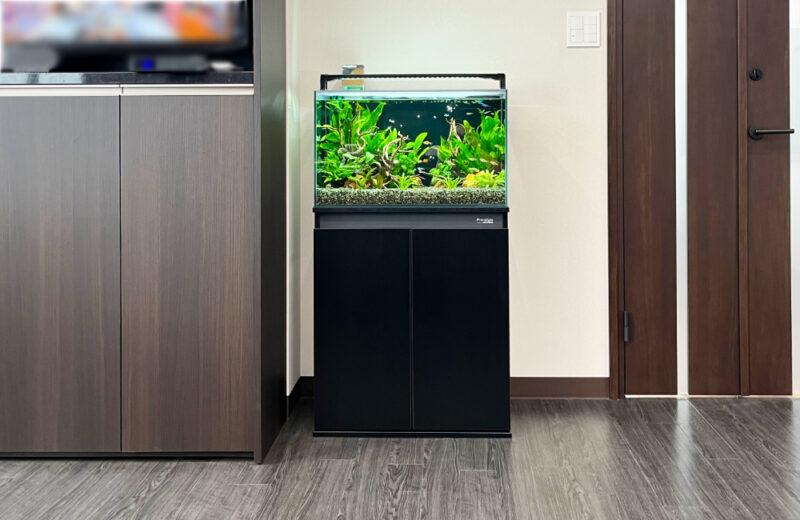 企業様の60cm淡水魚水槽！フロアに溶け込むアクアリウム 水槽画像５