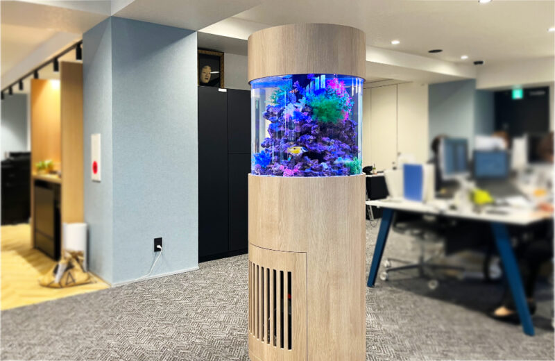 確認用：企業様に直径60cm円柱水槽を販売！設置からメンテナンスまでお任せください 水槽画像５