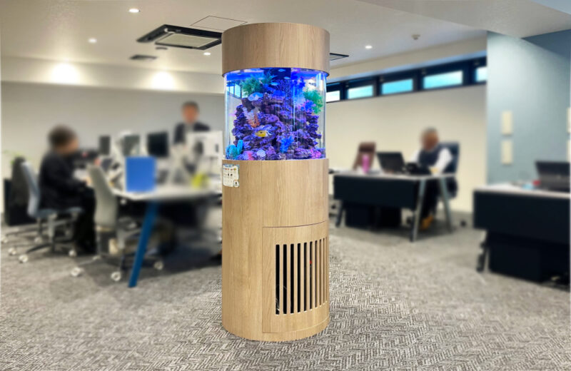 確認用：企業様に直径60cm円柱水槽を販売！設置からメンテナンスまでお任せください 水槽画像３