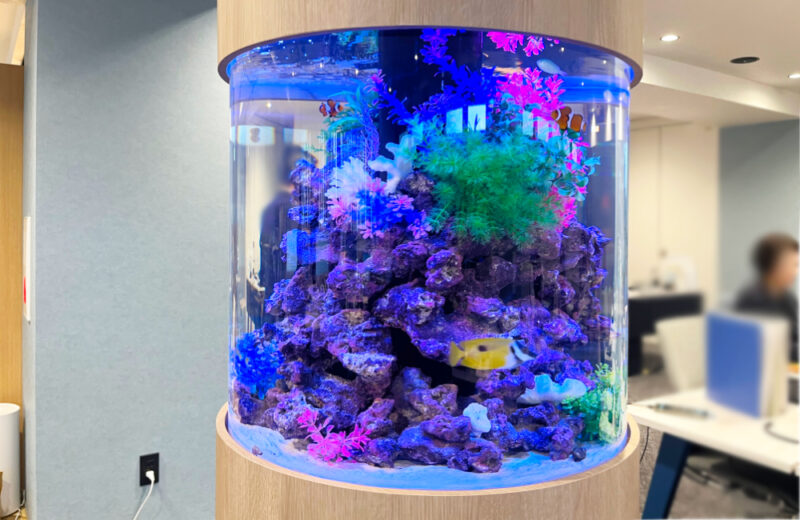 確認用：企業様に直径60cm円柱水槽を販売！設置からメンテナンスまでお任せください 水槽画像２