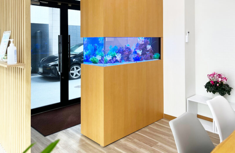 企業様の120cm埋め込み水槽！透明感ある明るい海水アクアリウム 水槽画像２