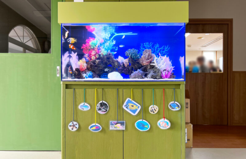 幼稚園様の90cm海水魚水槽！グリーンの水槽台と天蓋も特徴的なアクアリウム 水槽画像２