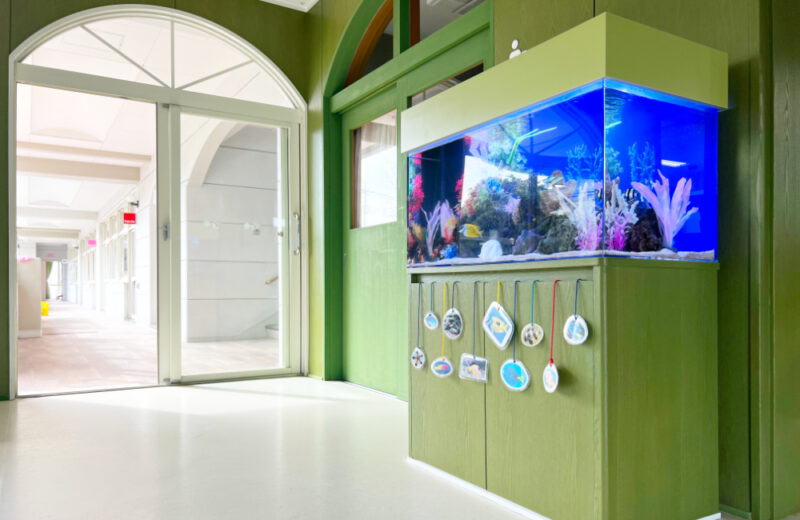 幼稚園様の90cm海水魚水槽！グリーンの水槽台と天蓋も特徴的なアクアリウム 水槽画像５