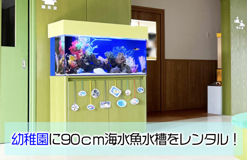 幼稚園様の90cm海水魚水槽！グリーンの水槽台と天蓋も特徴的なアクアリウム 水槽画像01