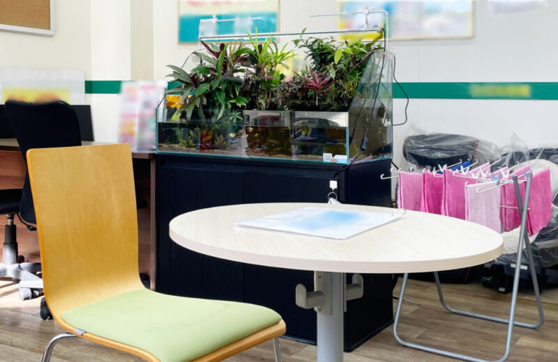 店舗の90cmアクアテラリウム水槽・8年後の様子！植物が成長した美しい水景 水槽画像４