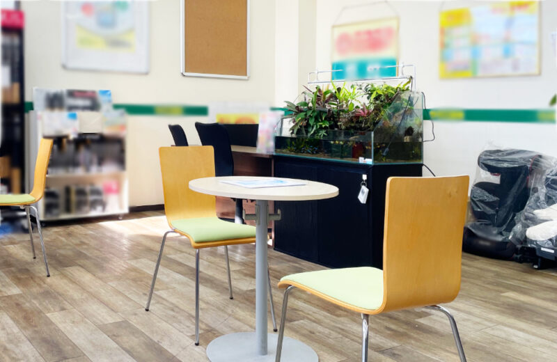 店舗の90cmアクアテラリウム水槽・8年後の様子！植物が成長した美しい水景 水槽画像５