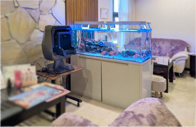 美容サロン様の120cm海水魚水槽・10年目の様子！美しく安定した水槽です 水槽画像２
