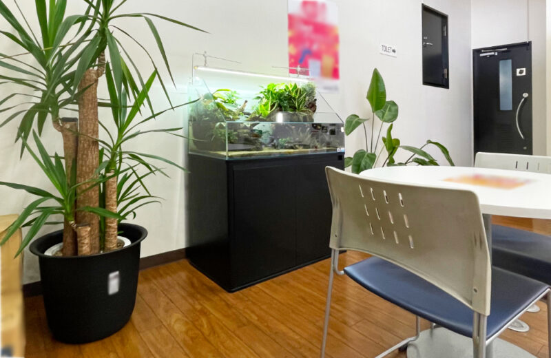 店舗様のアクアテラリウム水槽！緑を楽しめる90cmの水景 水槽画像３