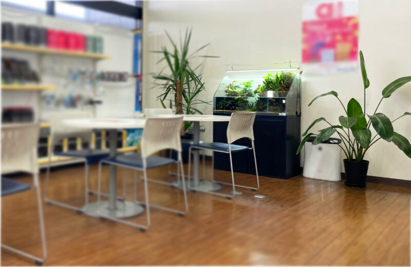 店舗様のアクアテラリウム水槽！緑を楽しめる90cmの水景 水槽画像５